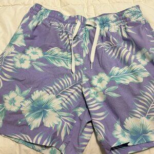 Rare Chubbies: The Violet Storms 5.5" (Lined Classic Swim Trunk)